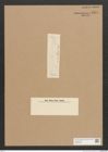 Diatomeae indet. Zeichnungen Sammlung Grunow Nr. 2594 (NHMW-BOT-W0369786)